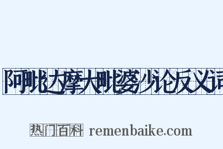 阿毗达摩大毗婆沙论反义词是什么意思的图片